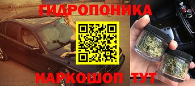 дживик Бийск