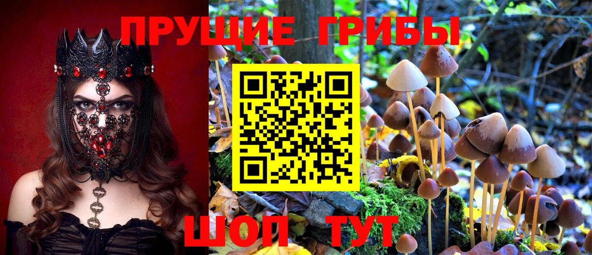 Бошки Шишки  ГАШИШ  КОКАИН  Мефедрон кристаллы  MDMA  Каннабис  Верхняя Пышма  COCAIN  Вход с VPN  Экстази 