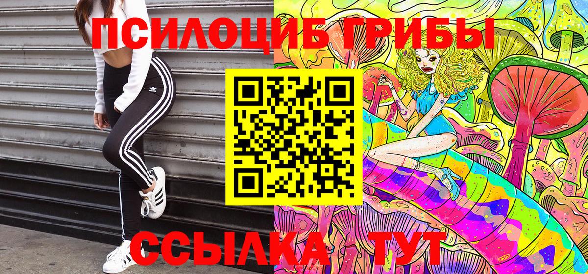 Верхняя Пышма  Псилоцибиновые грибы Cubensis  Вход с VPN 