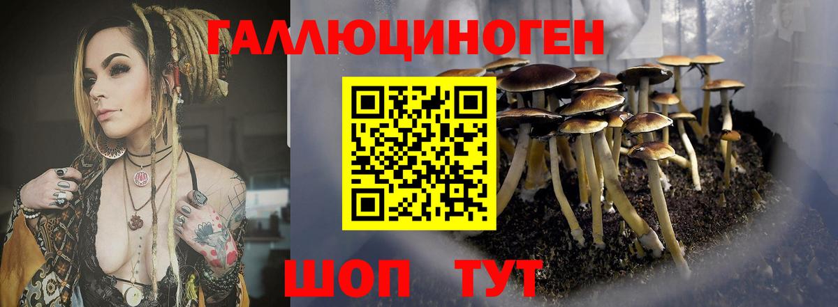 Псилоцибиновые грибы GOLDEN TEACHER Верхняя Пышма